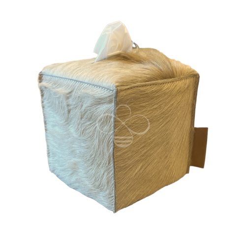 tissue box